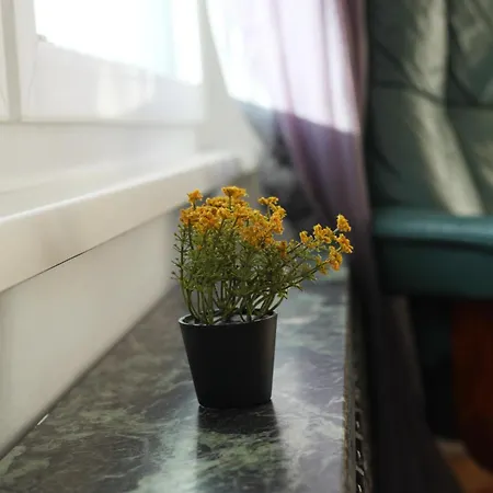 Flower Nahe Bahnhof & Lkh Privatunterkunft